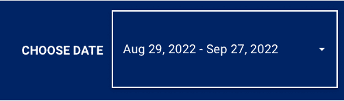 Screenshot of Date Switcher - Google Ads