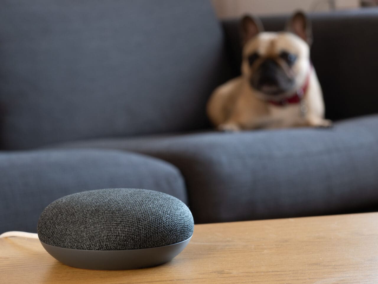 smart home speaker device placed on wooden table with blurred background of a dog on a sofa
