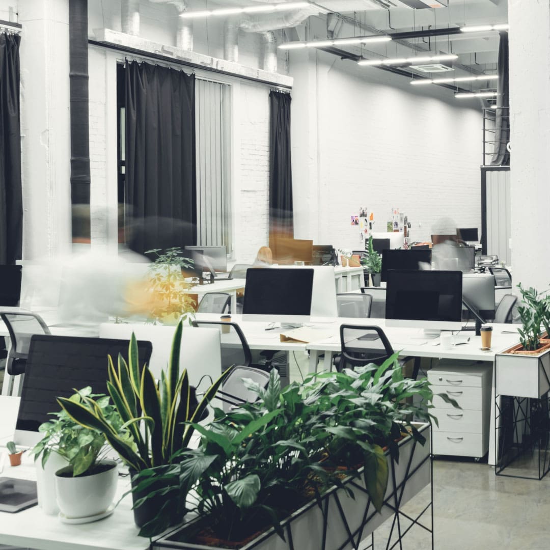 Large office with Mac computers on desks and plants