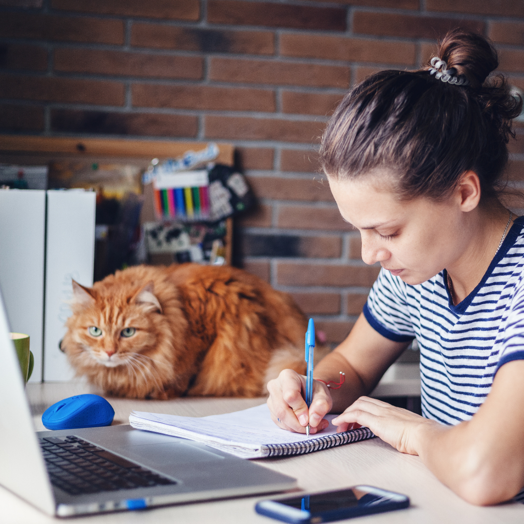 Image of woman sat at home desk, with Mac laptop. Writing in an open notebook, with her fluffy ginger cat next to her