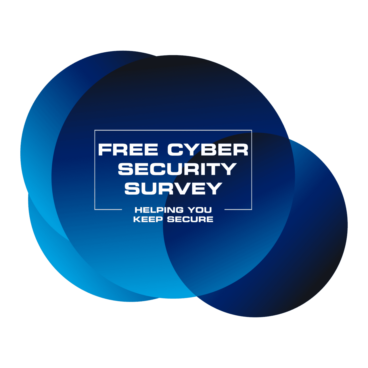 Free Cyber Security Survery