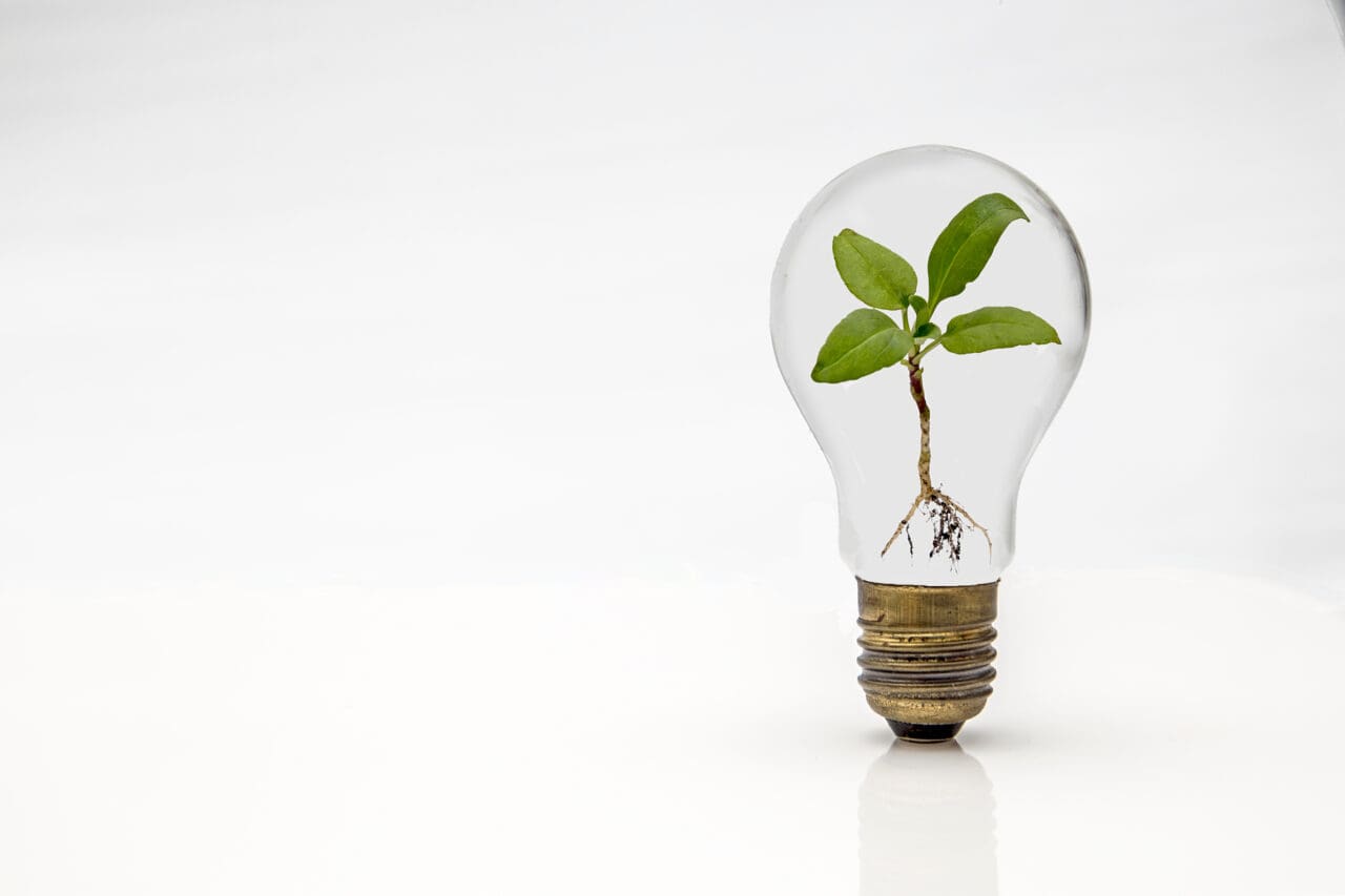 light bulb with a green plant inside on a white background