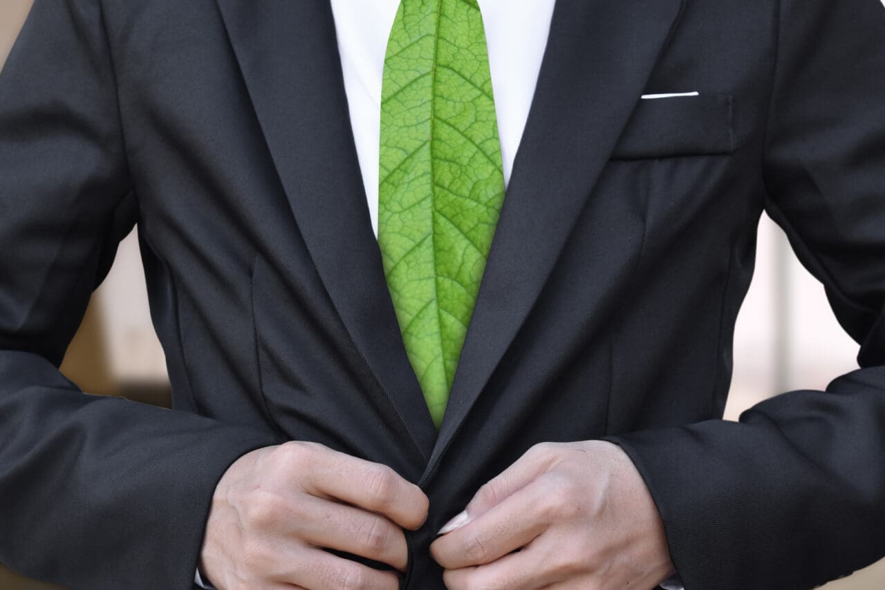 Businessman in suit with green leaf as tie