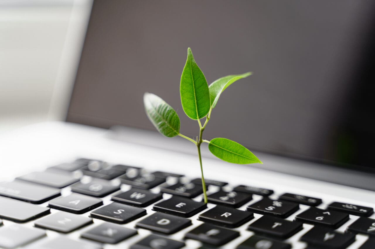 leaf growing out of laptop keyboard