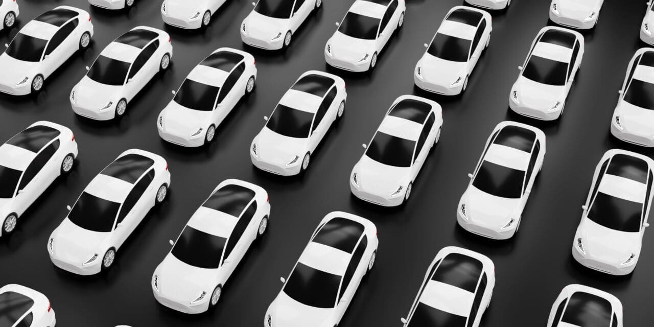 New self driving cars fleet waiting to be exported, large amount