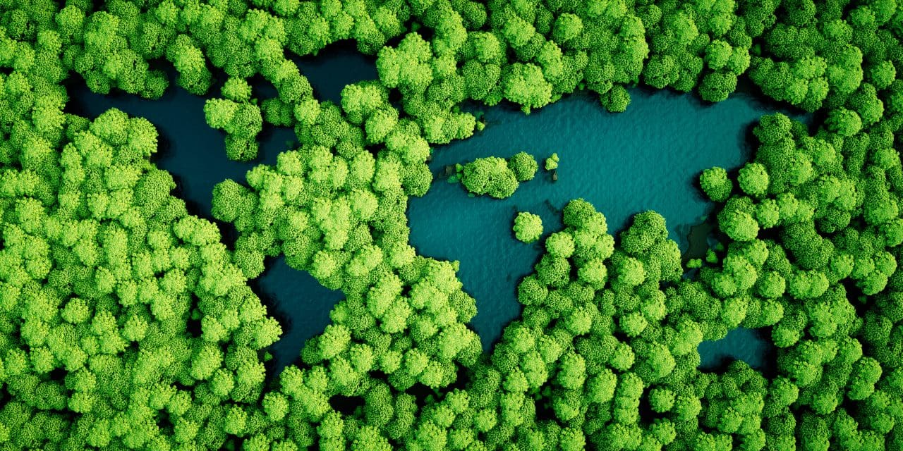 Rainforest lakes in the shape of world continents.
