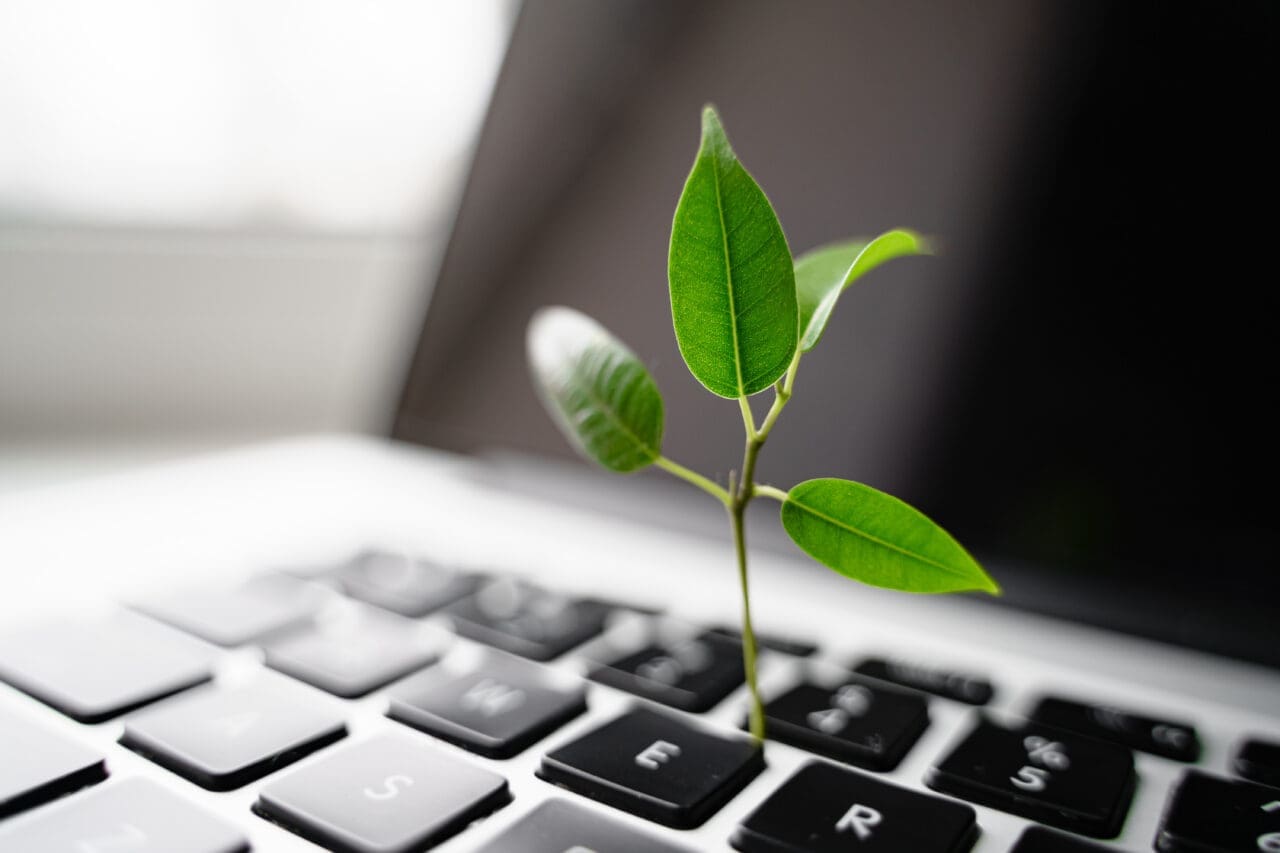 Laptop keyboard with plant growing on it. Green IT computing concept. Carbon efficient technology. Digital sustainability