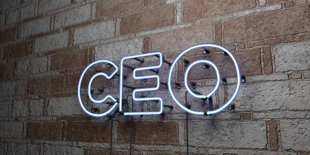 CEO - Glowing Neon Sign on stonework wall
